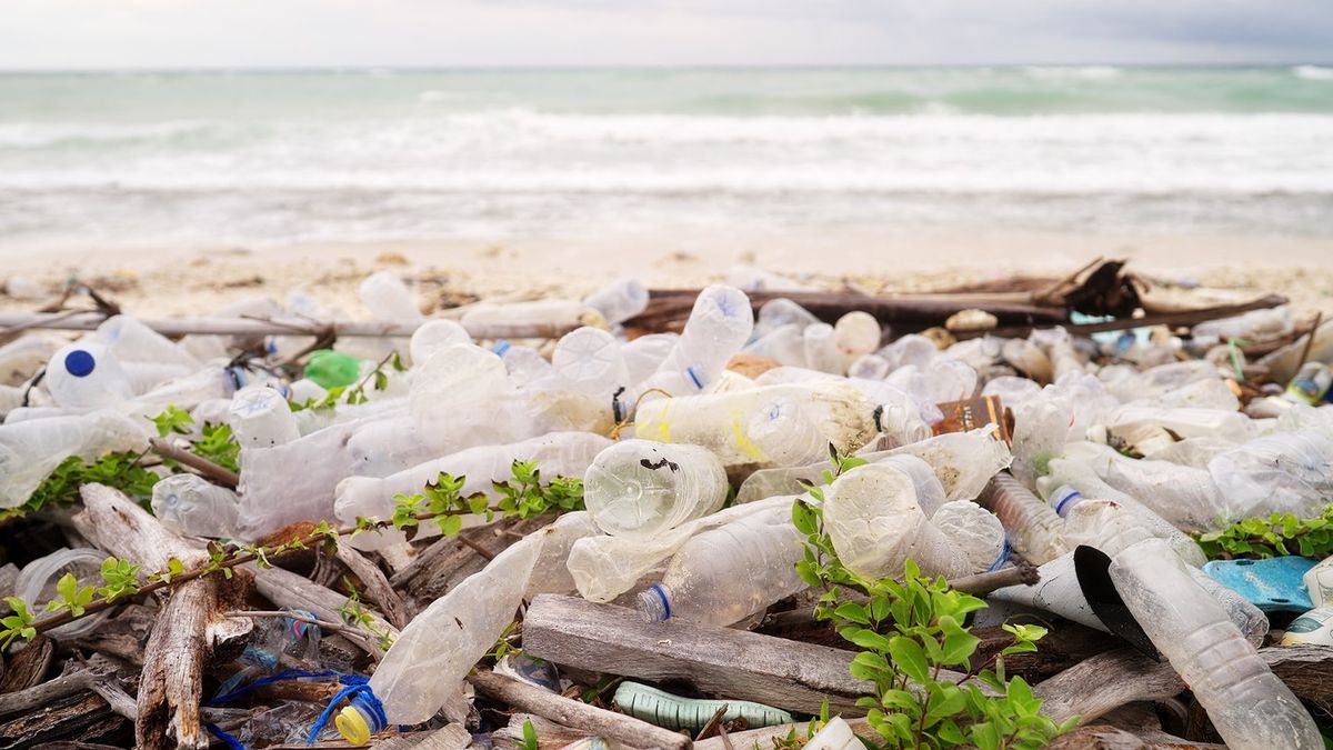 Ocean bound plastic deemed unsafe for meat, fish and poultry food packaging by FSA and FSS