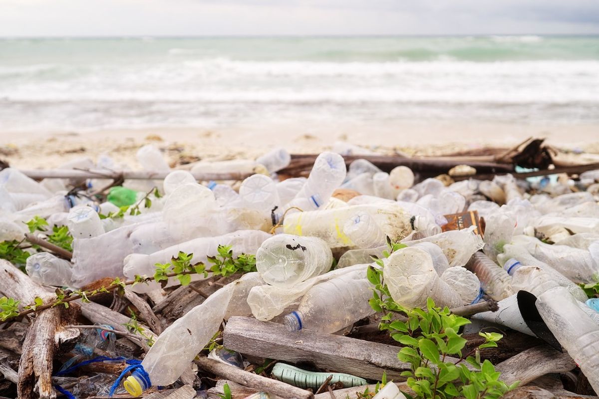 Ocean bound plastic deemed unsafe for meat, fish and poultry food packaging by FSA and FSS