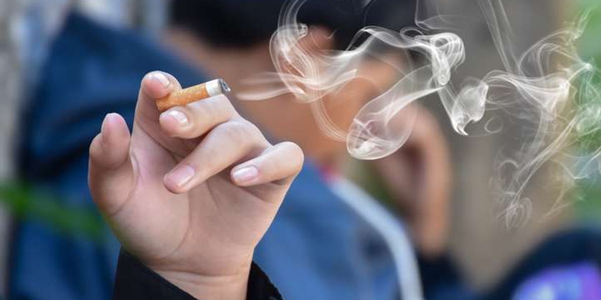australia duty free tobacco Shop Melbourne Airport Duty Free Online & Collect at Laneway australia duty free tobacco Shop Melbourne Airport Duty Free Online & Collect at Laneway