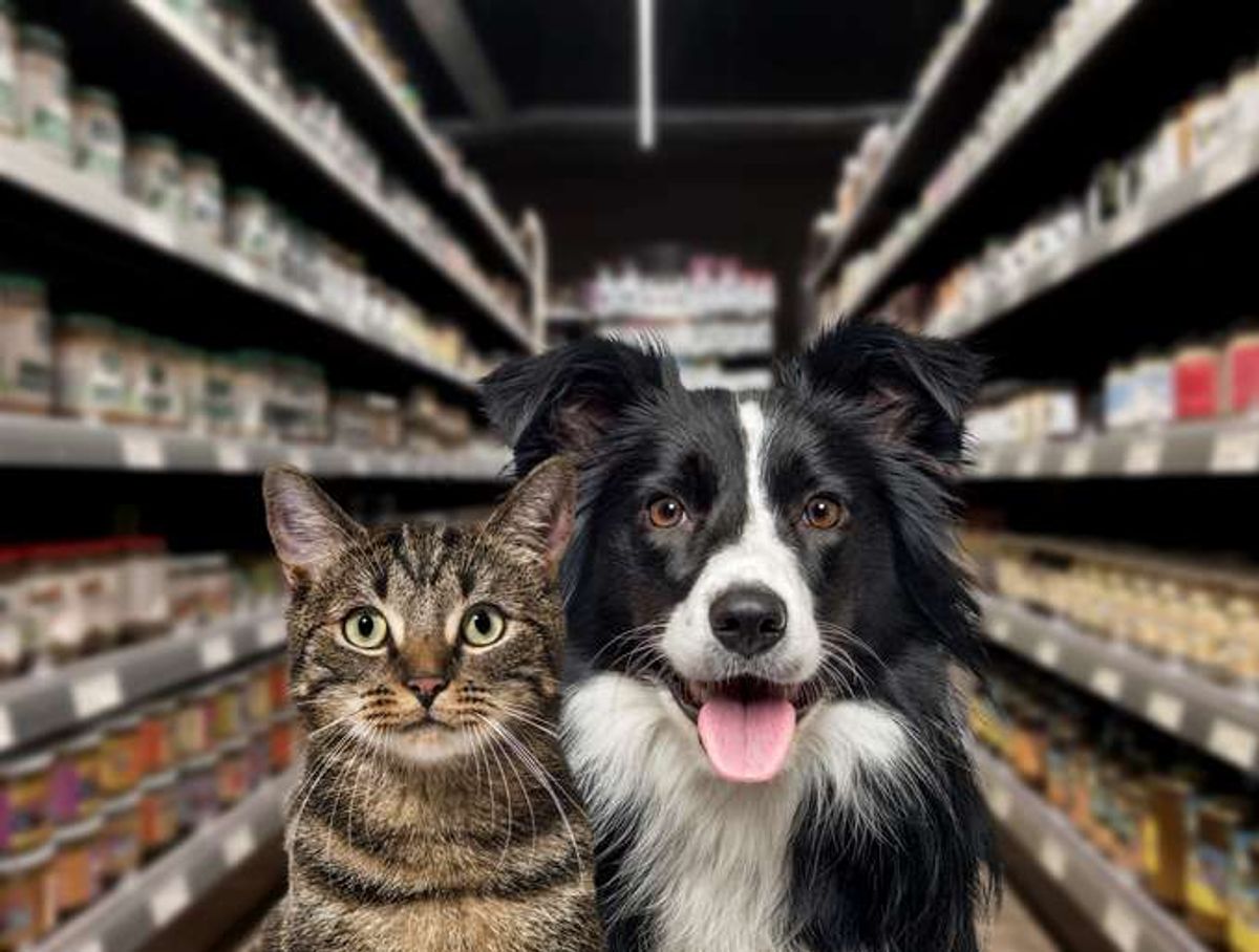 pet care market UK