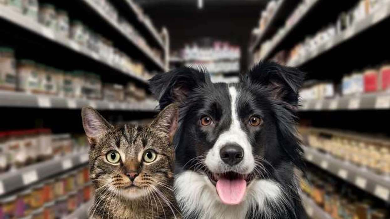 pet care market UK