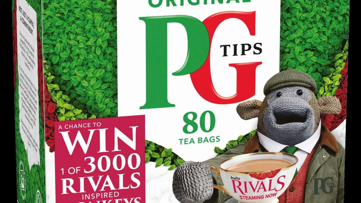 PG Tips Disney+ monkey competition Rivals