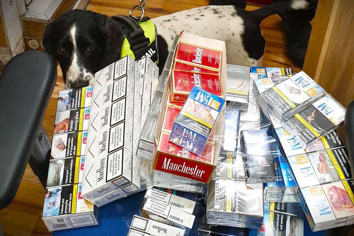 Record haul of illegal tobacco and vapes worth £208,000 seized in Bournemouth