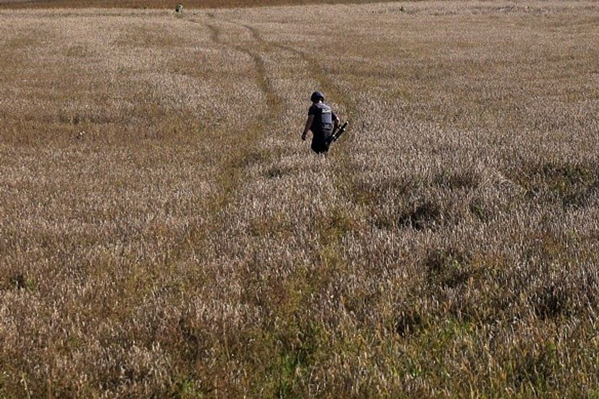 World food index slips in October despite higher cereal prices