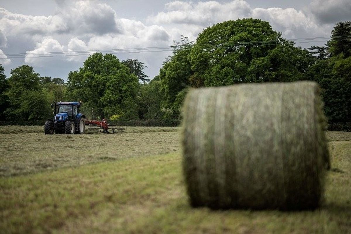 'Climate crisis poses great risk to UK food production'