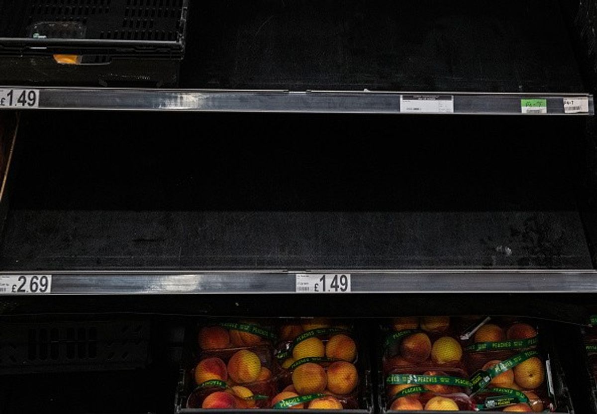 UK 'sleepwalking' into major food shortage crisis