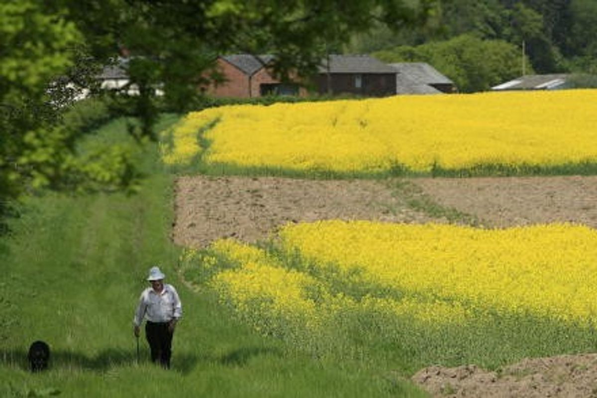 Vegetable oil, dairy prices drive continued rise of Global Food Price Index