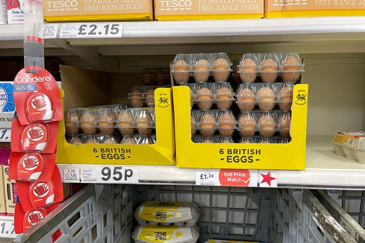 Waitrose, Co-op, Sainsbury's reaffirm support for egg farmers