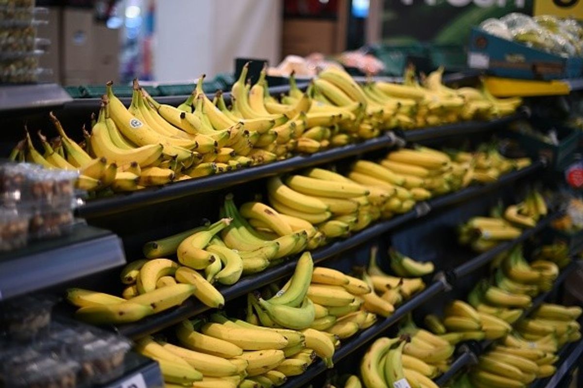 'UK supermarkets' war over banana price harming producers and exporters'