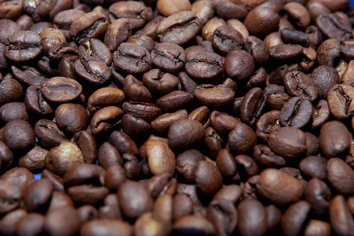 Coffee prices hit record high