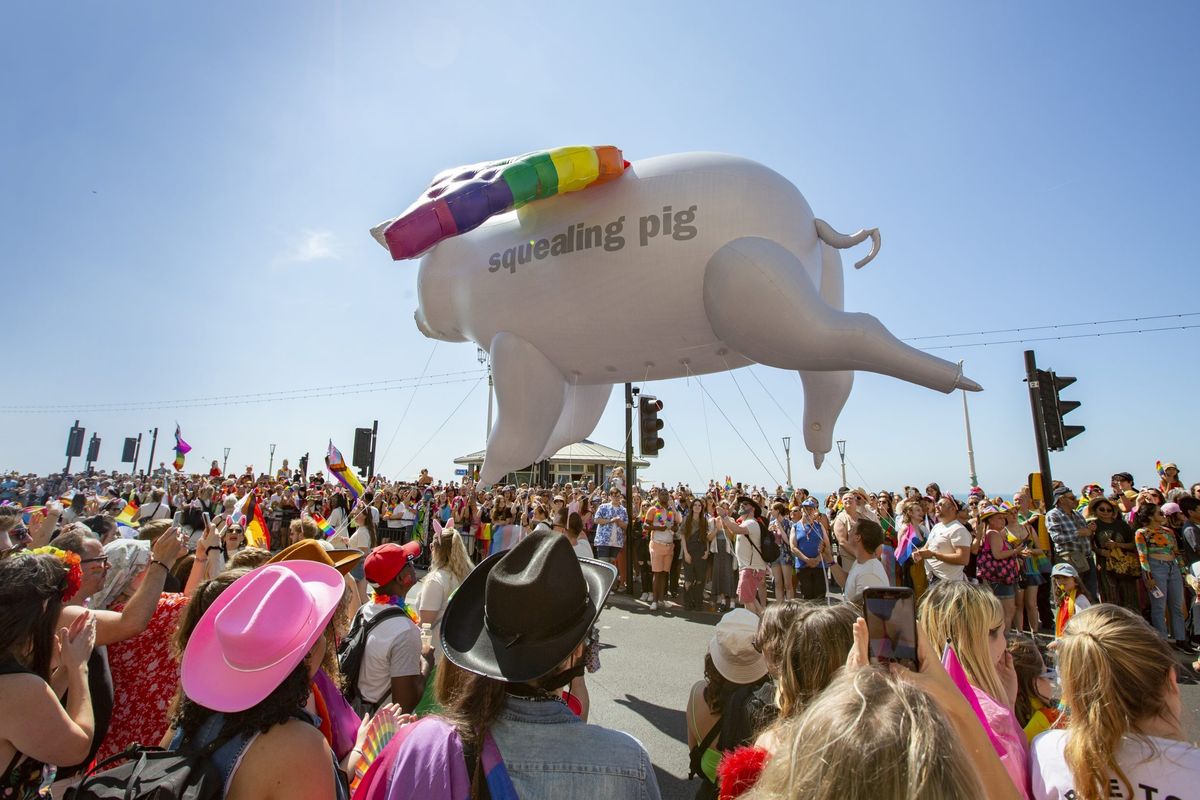 TWE’s Squealing Pig brings ‘summer of love’ to all