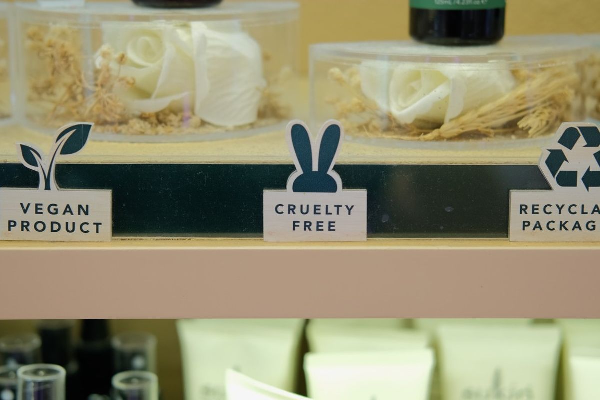 FSA campaign highlights risk of food labelled as vegan to people with allergies