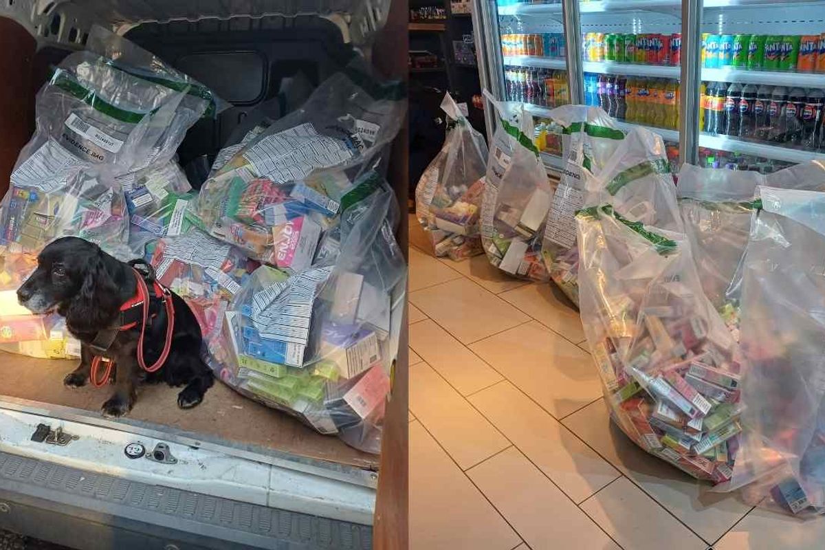 ‘Van-full’ of illegal vapes seized in Newark shop raids