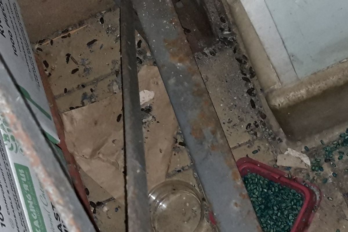 Leeds wholesaler fined after repeated breaches of food hygiene regulations