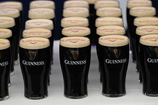 Pints of Guinness