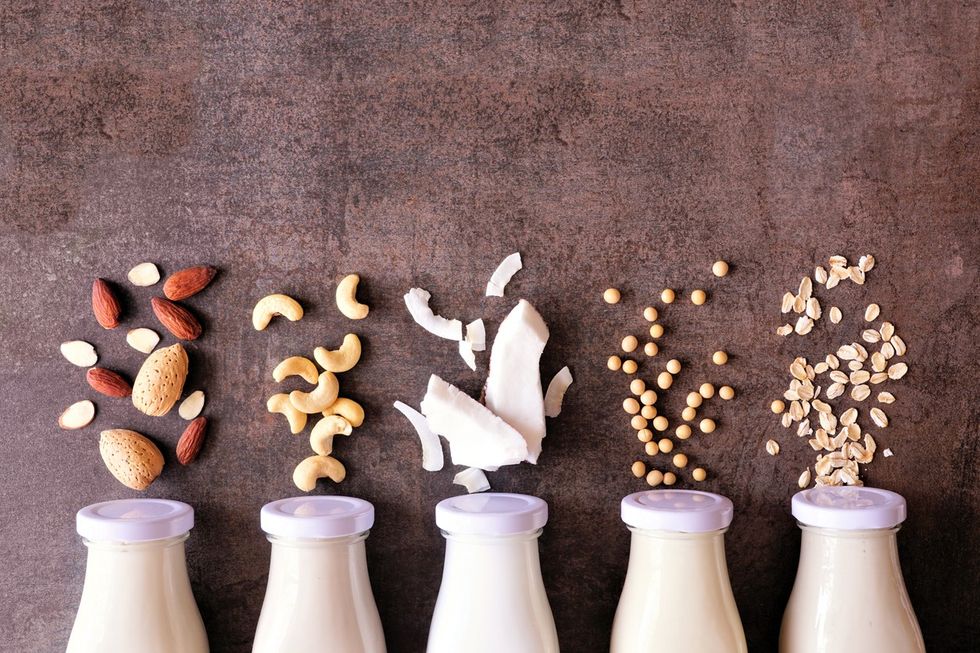 plan-based dairy