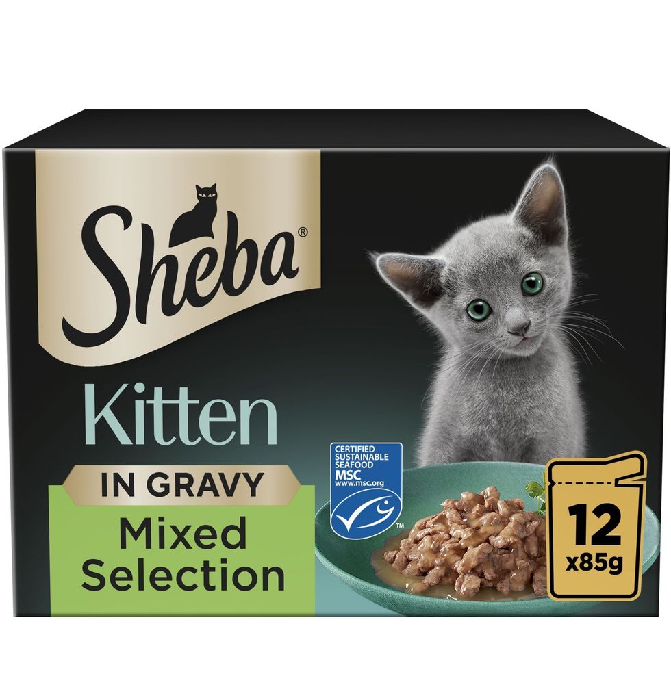 Sheba Kitten range on convenience store shelf for pet care 2025