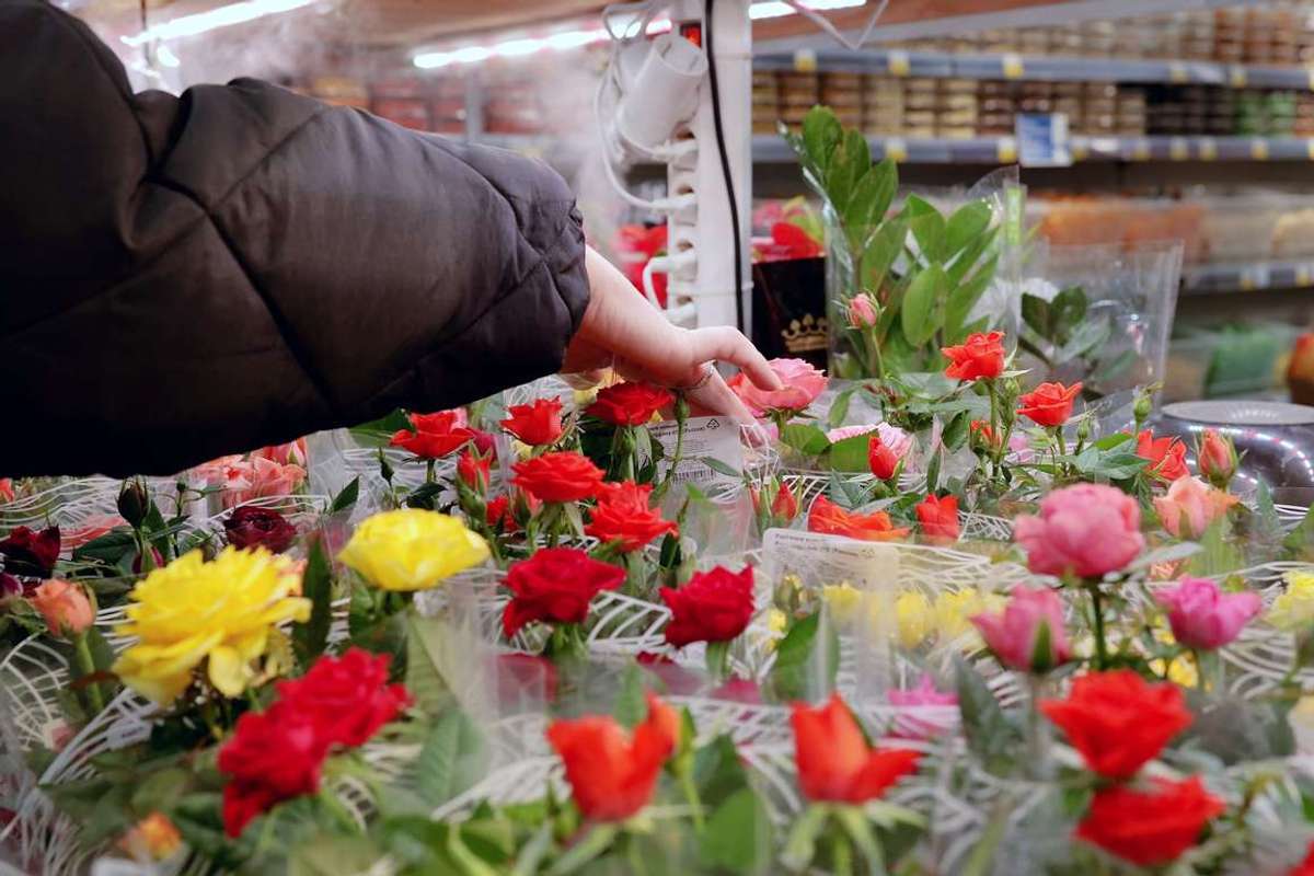Shopper chooses a bunch of vibrant roses from the floral section of a supermarket