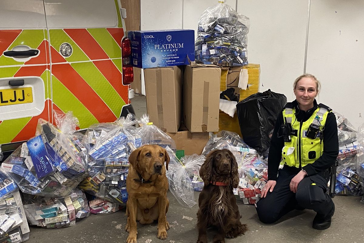 Sniffer dogs and police uncover £150K illegal tobacco and vapes in Walsall raid