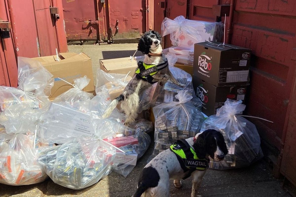 Illegal cigarettes and vapes seized during Tower Hamlets raid