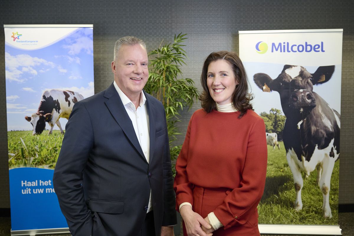 Sybren Attema, and Betty Eekchaut