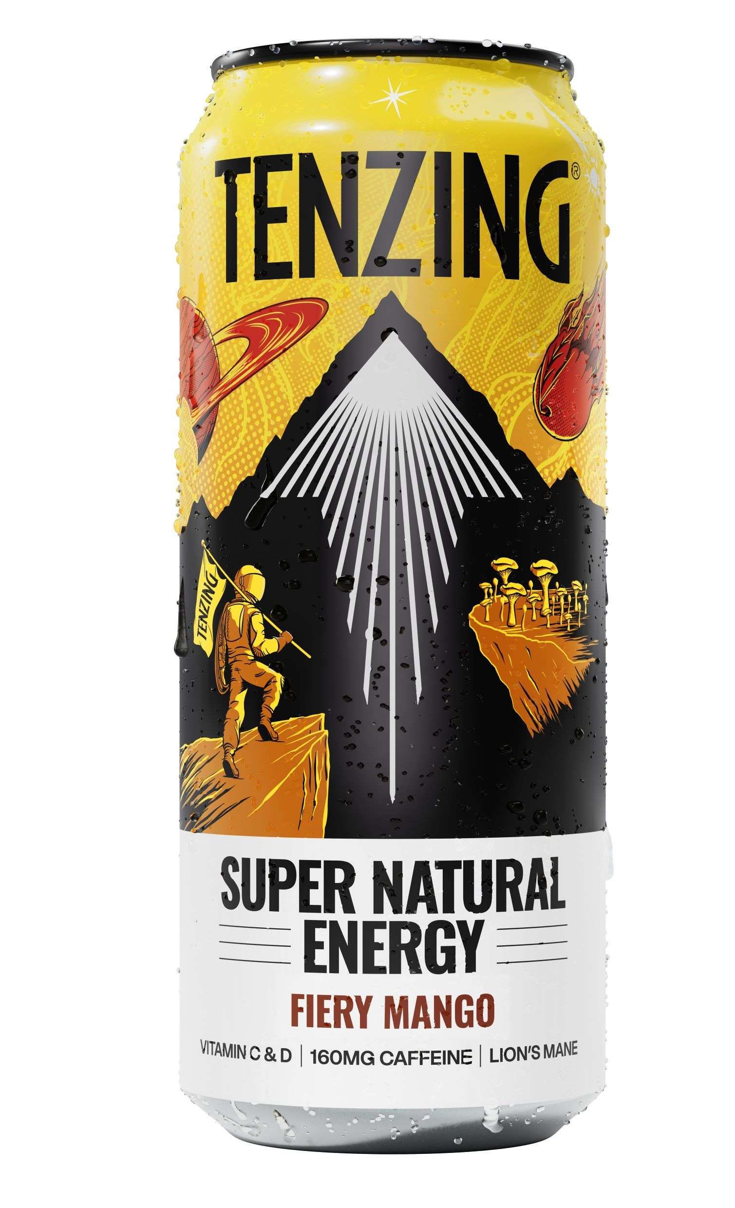 Tenzing Fiery Mango 500ml
