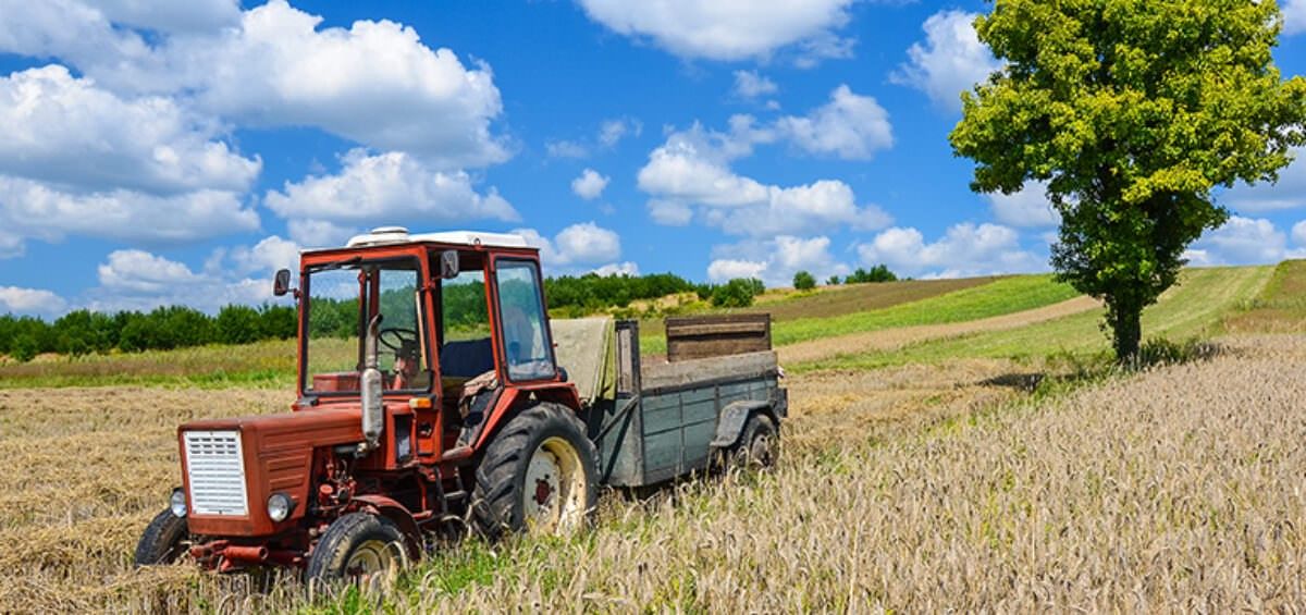 Tesco Urges National Data Framework to Boost Food Security