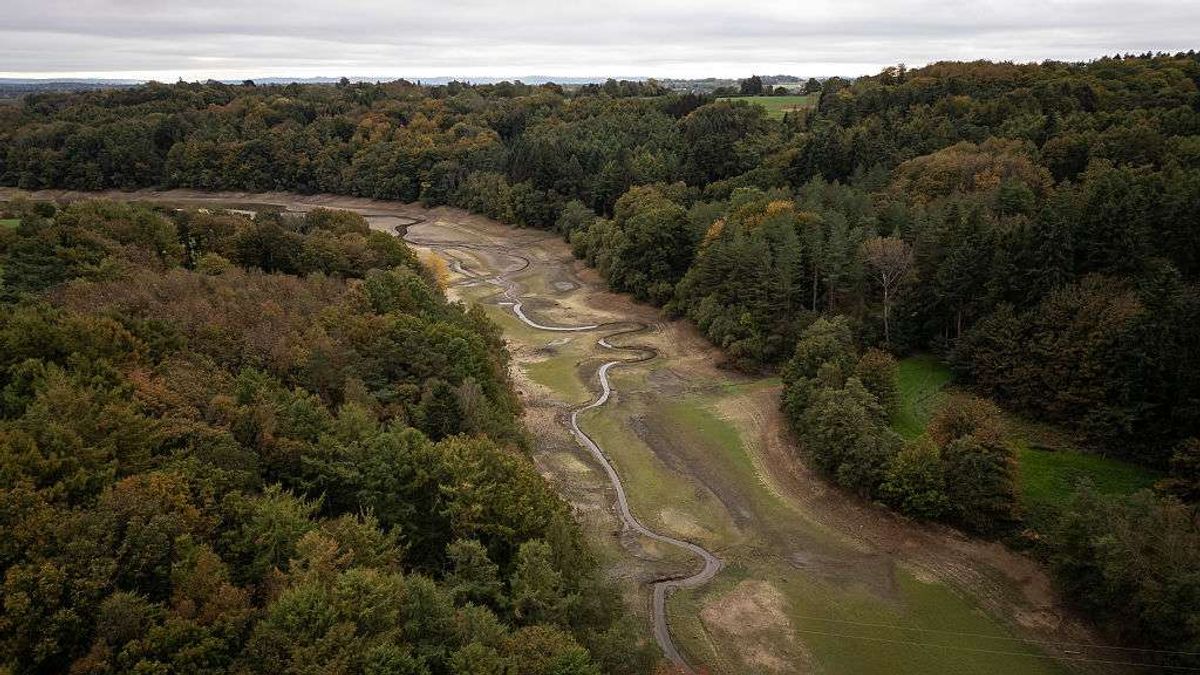 The inflow from Balcombe Lake becomes a stream through the exposed banks of the Ardingly Reservoir