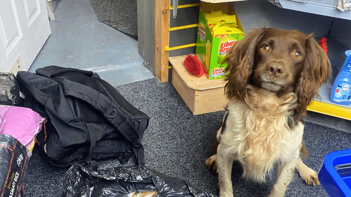 Thousands of illegal cigarettes seized from Walsall shops