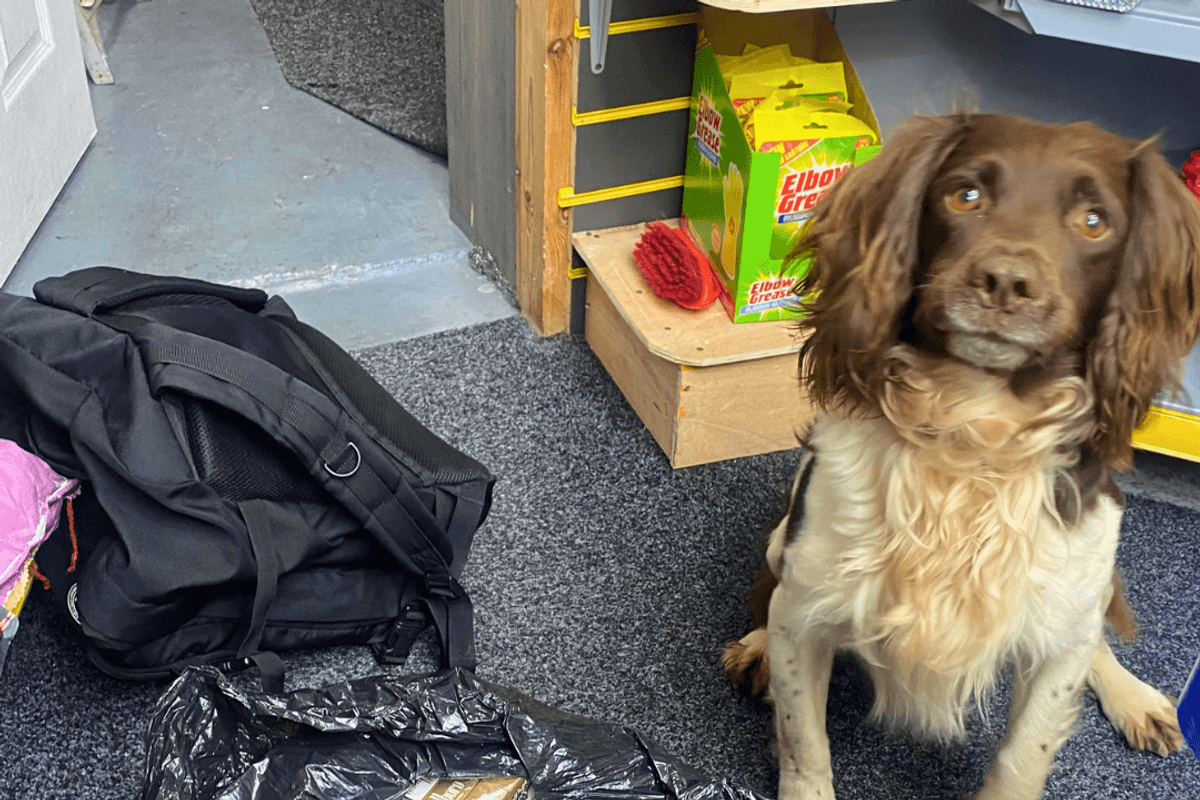 Thousands of illegal cigarettes seized from Walsall shops