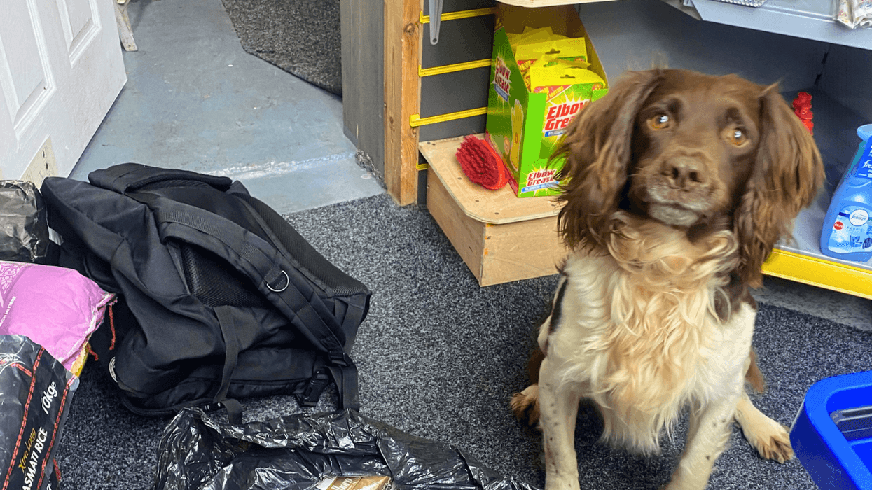 Thousands of illegal cigarettes seized from Walsall shops