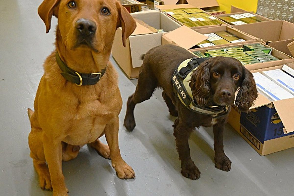 Tracked down illegal tobacco from Croydon