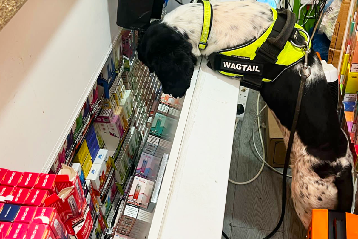 Trading Standards officers seize illegal cigarettes and vapes in Southend convenience stores.