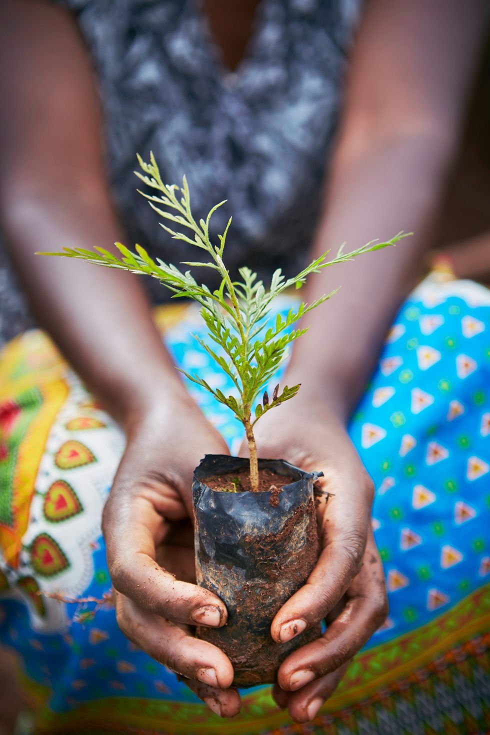 Tree planting in Kenya Photo Jonathan Gregson scaled
