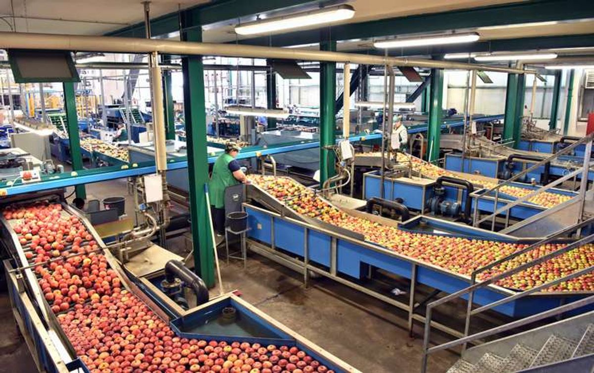 UK food system