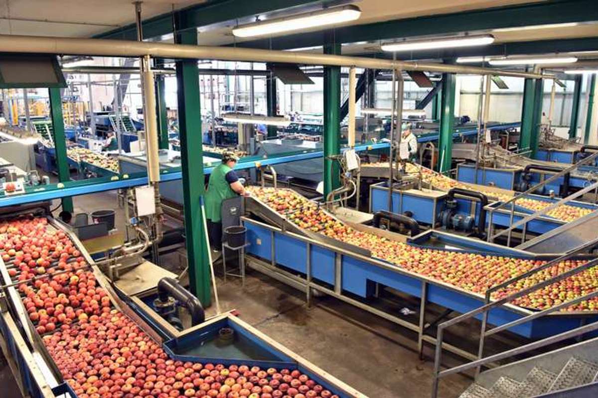 UK food system