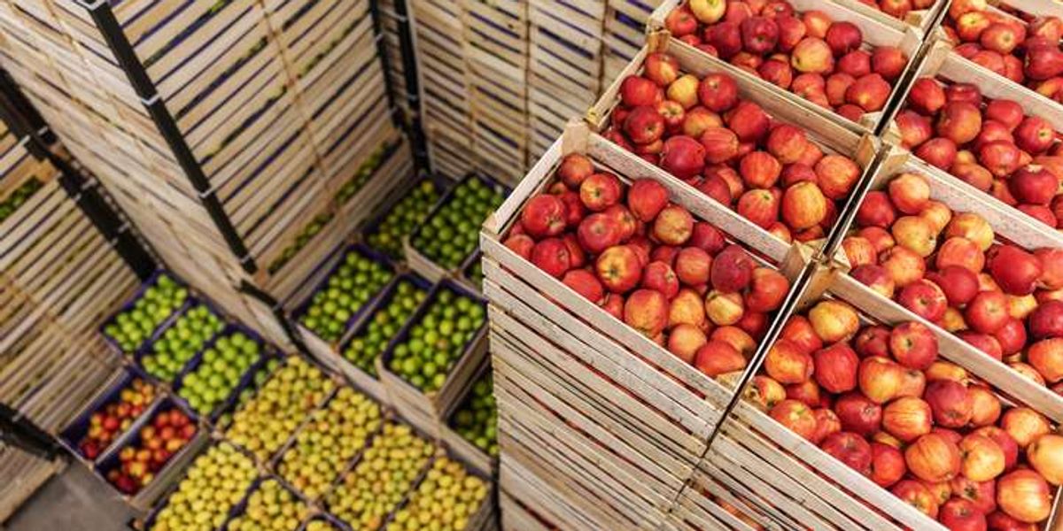 ‘Super El Niño’ to disrupt UK grocery supply chain, WaterAid warns