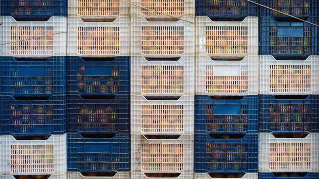 UK’s food supply chain