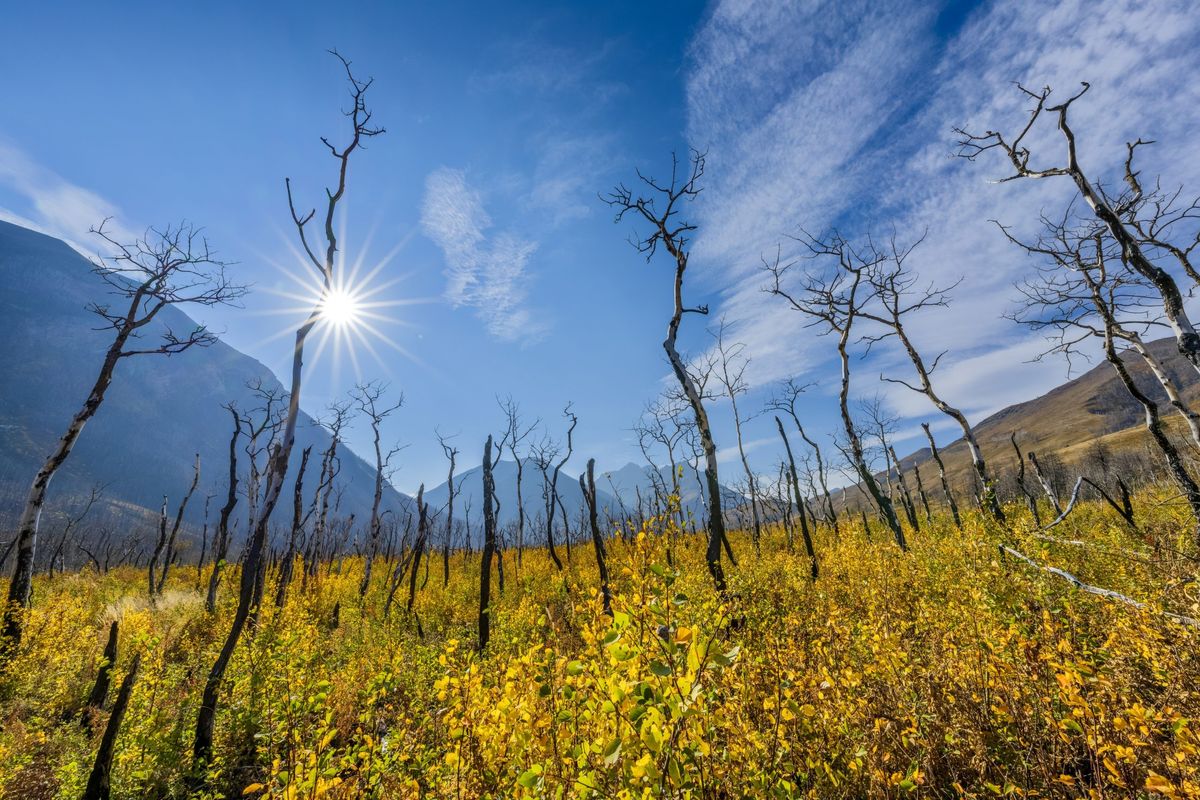 Waterton National Park in Alberta Canada