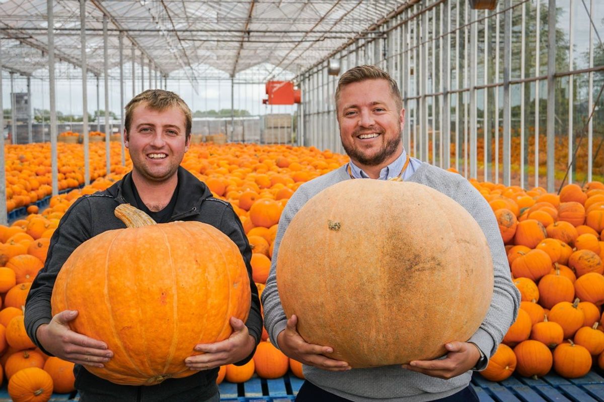 Pumpkins aplenty at SPAR stores, as James Hall enlists Lancashire growers T&E Forshaw for Halloween