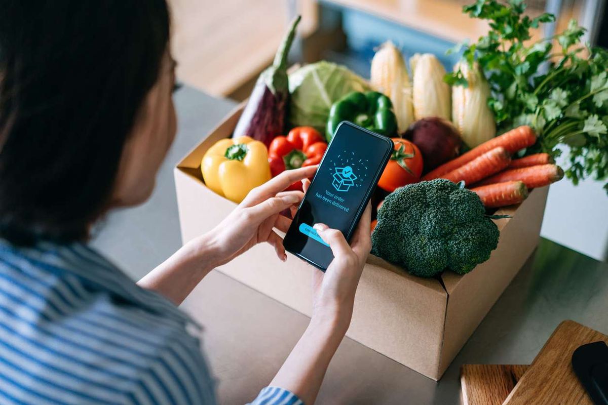 woman doing home delivery grocery shopping online 