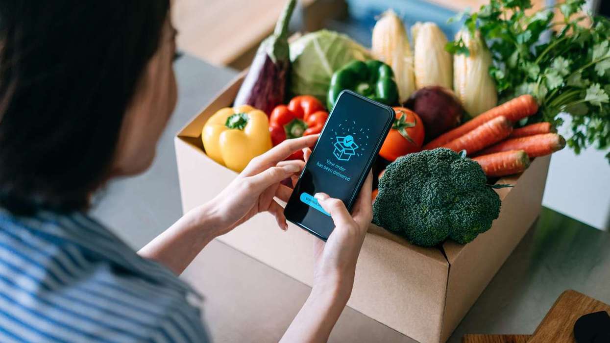woman doing home delivery grocery shopping online