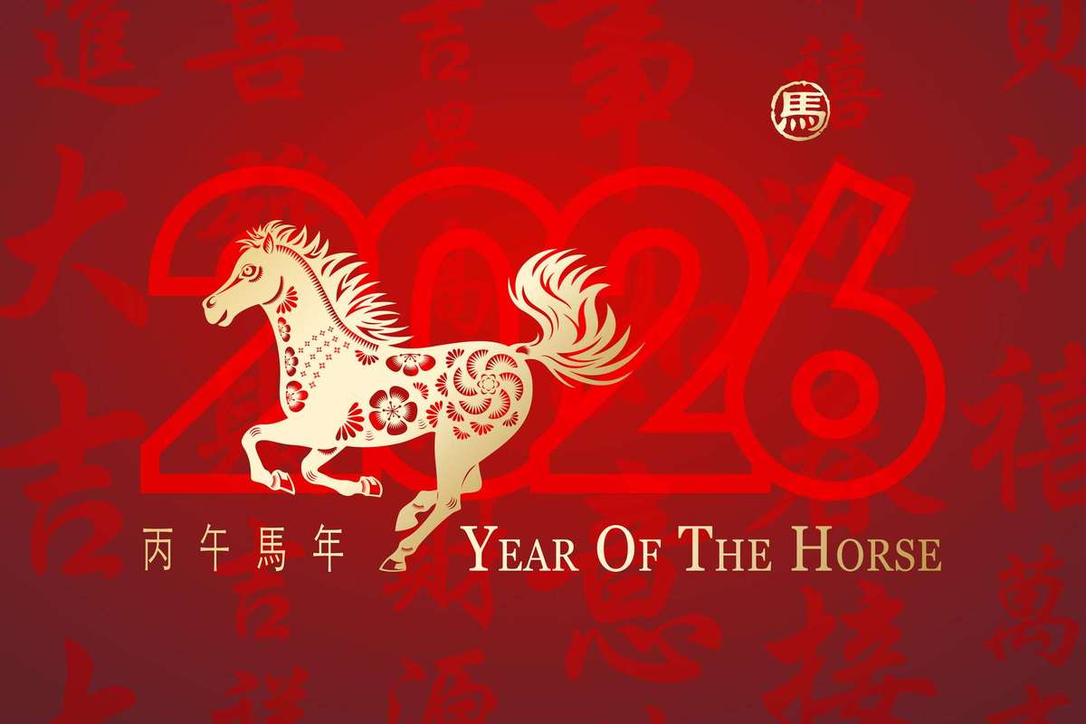 year of the horse