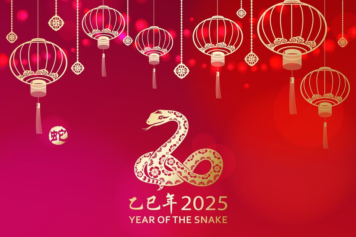 year of the snake