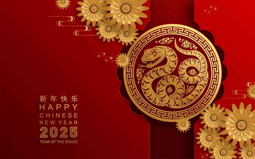 year of the snake