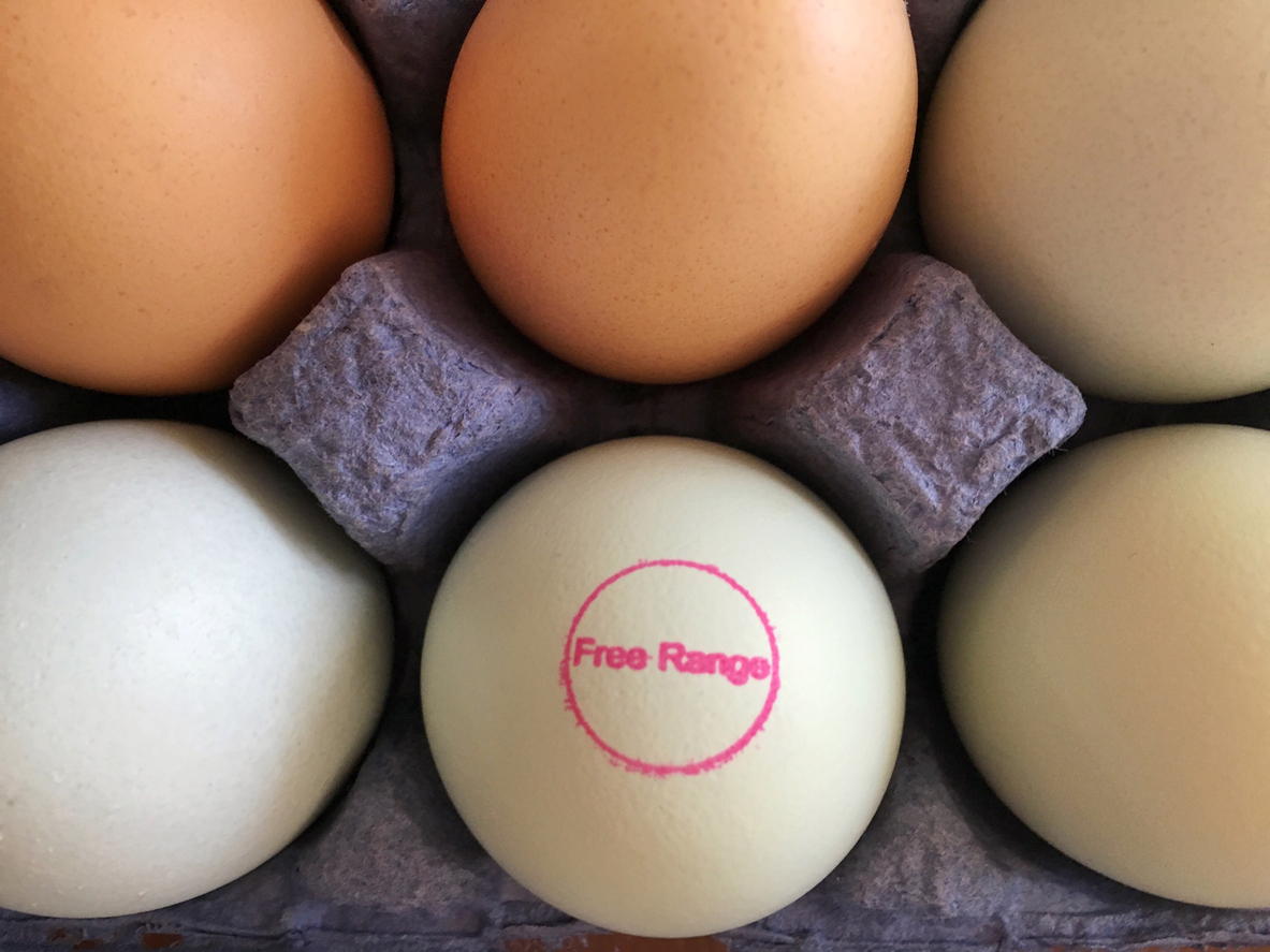 Free range eggs and plant-based products lead growth in ethical food market