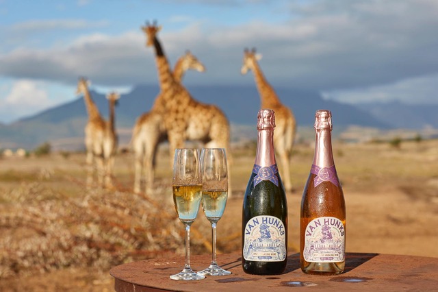 Van Hunks launches South African equivalents to Champagne in UK