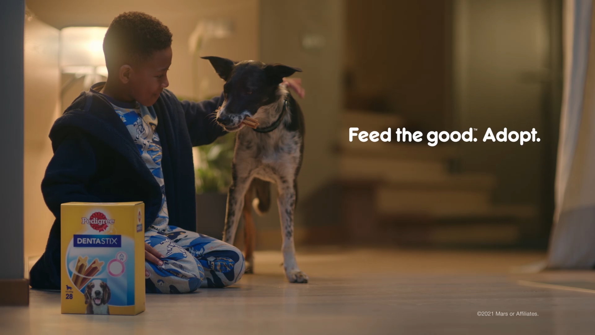 ‘Adoption Mission’: Mars Petcare campaigns to end pet homelessness