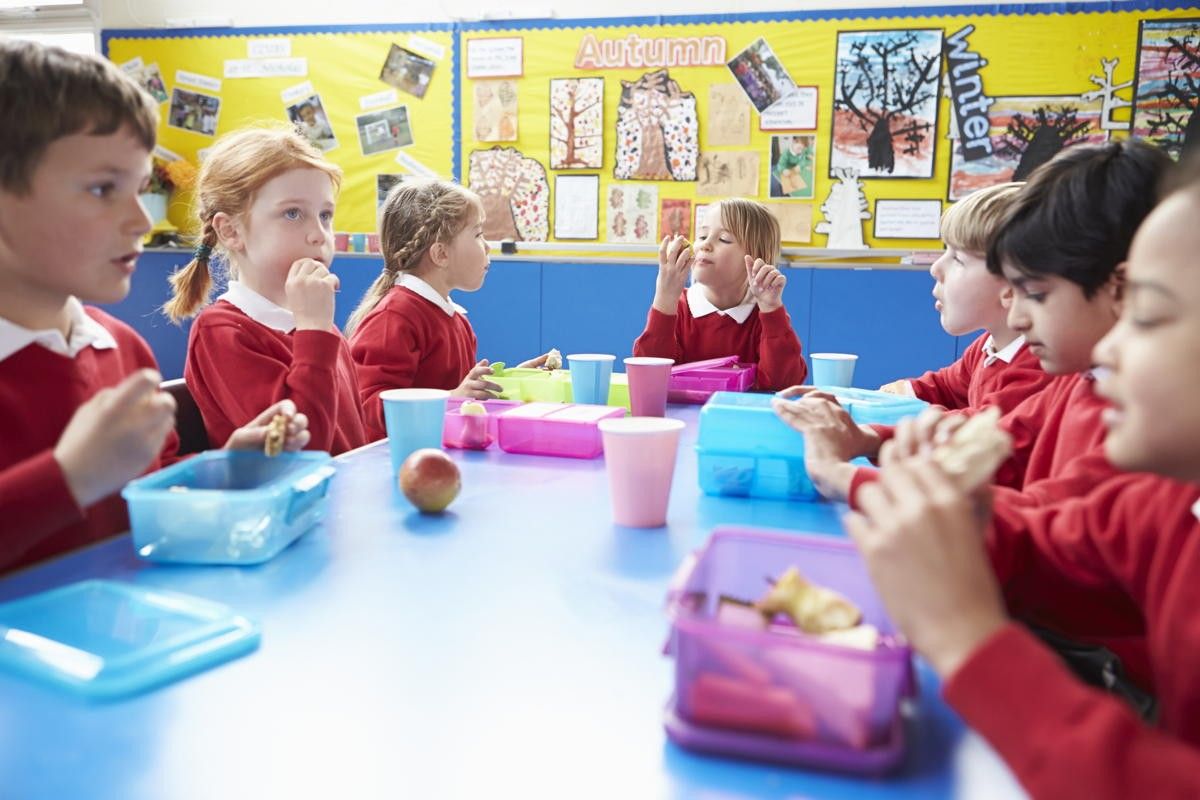 Lunchbox lessons for the new school year