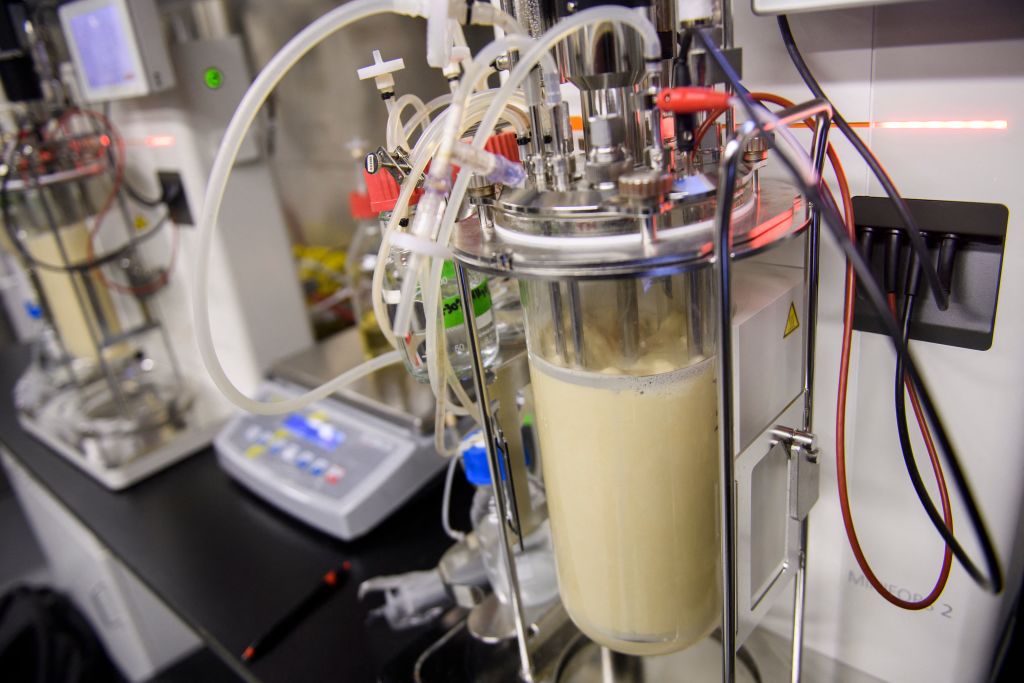 Lab-grown protein set to transform pet food
